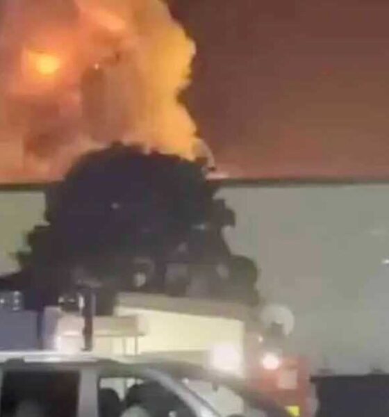 স্যালভো