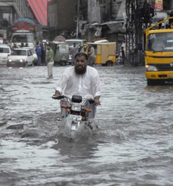 পুঁজিবাজারে