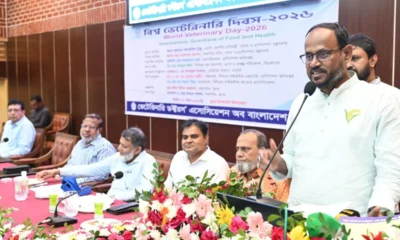 পিই রেশিও