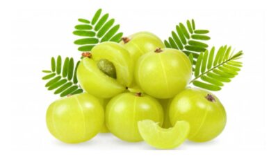 প্রথম