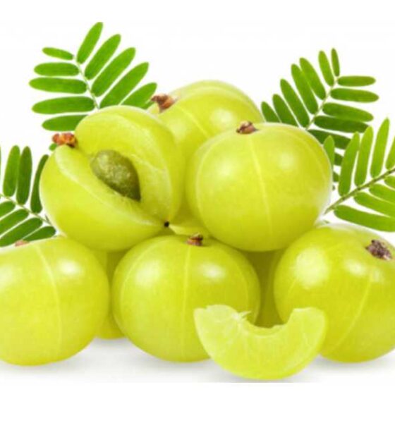 প্রথম