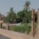 দর বৃদ্ধি