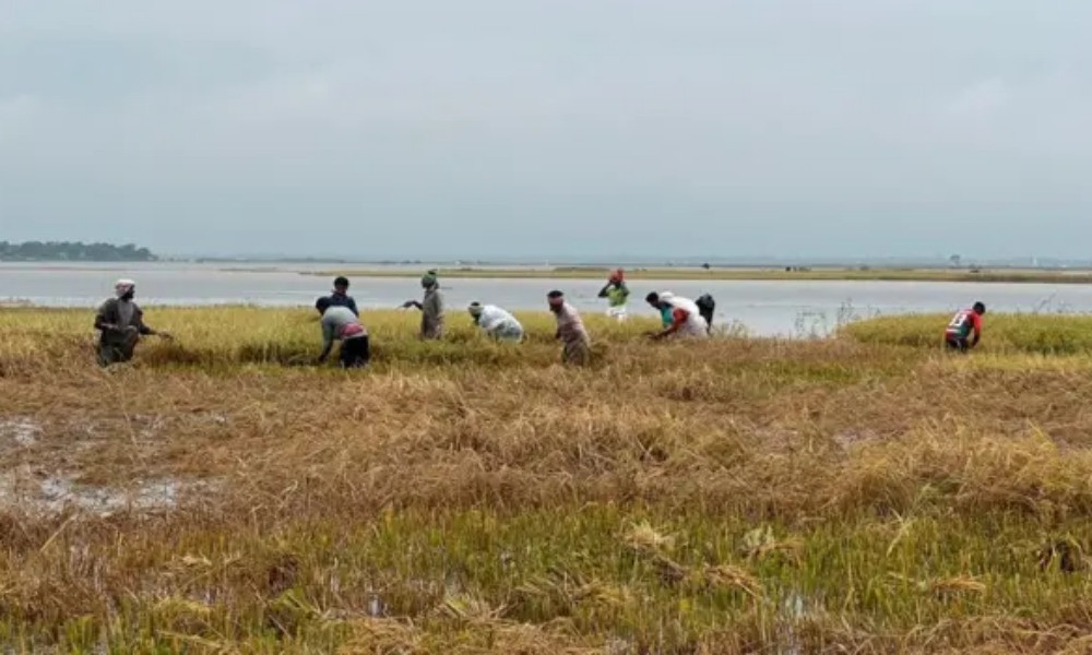 দর বৃদ্ধি