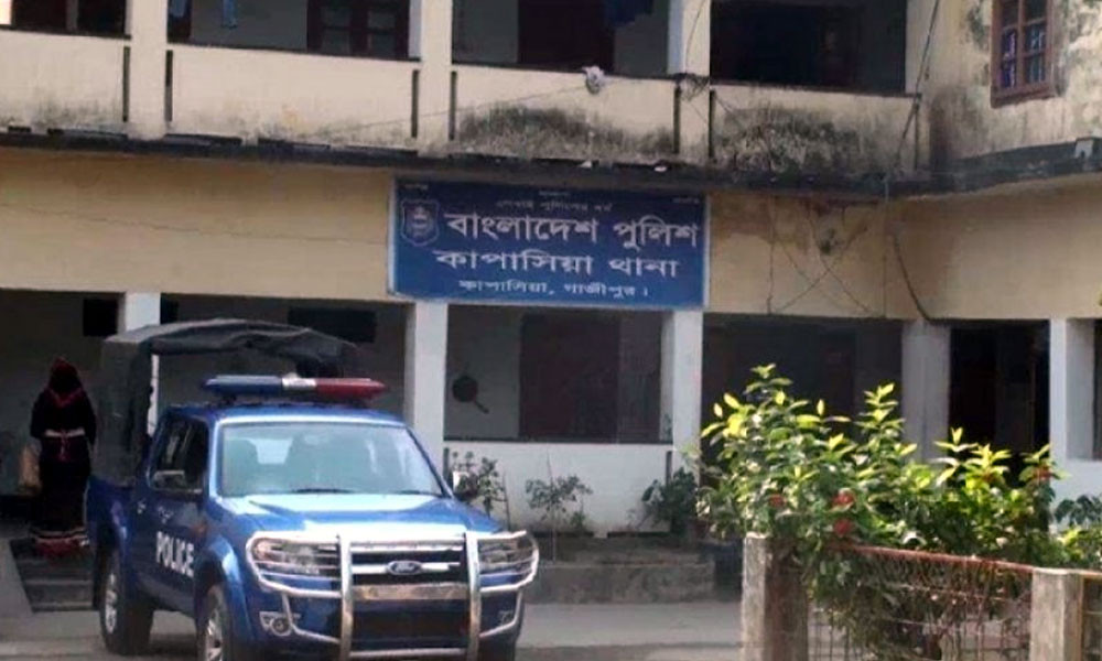 ডমিনেজ